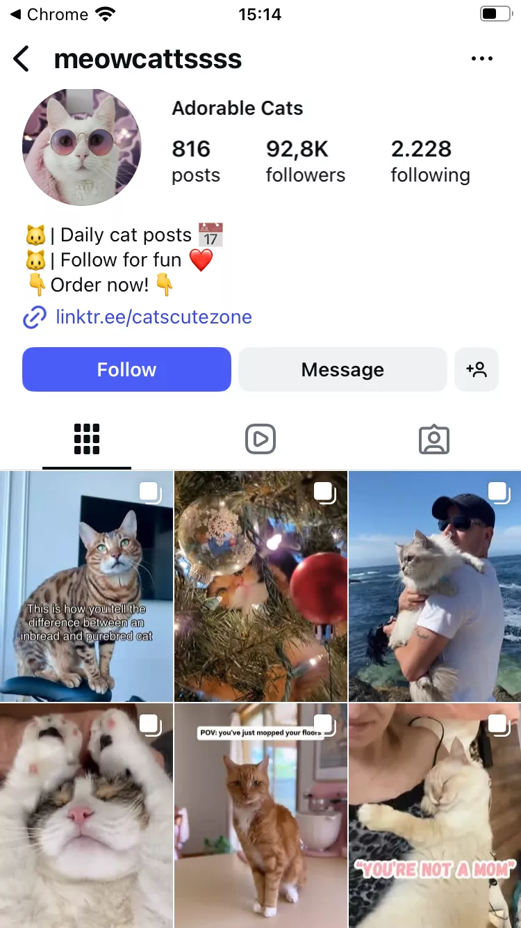 Profile Picture