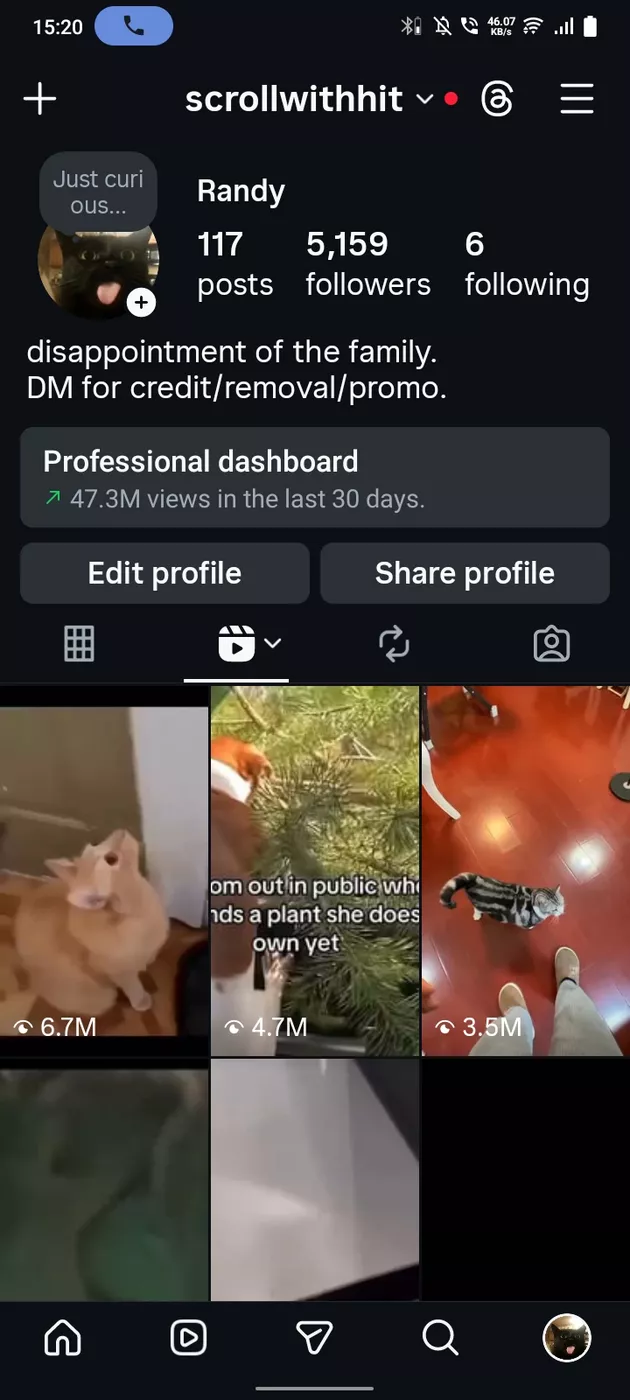Profile Picture